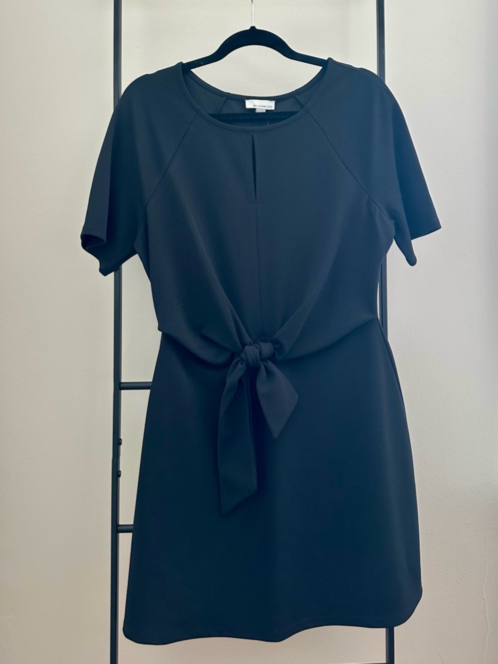 Allison Joy Black Tie-Front Mini Dress